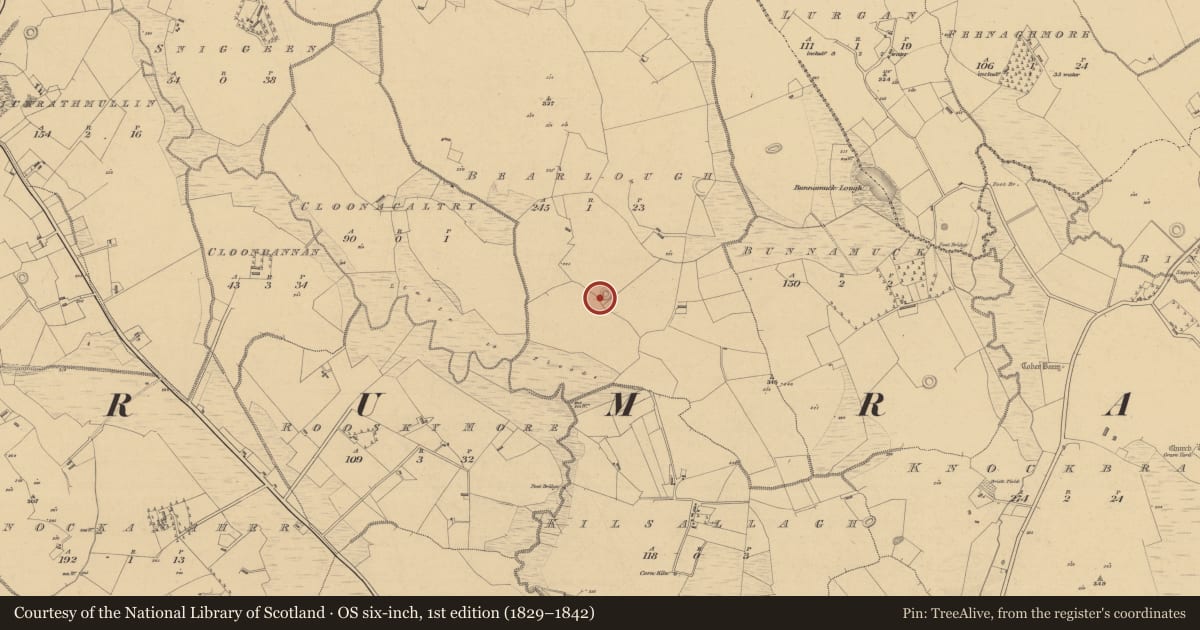 Ordnance Survey six-inch map, 1st edition (1829–1842) covering the location of Ringfort - rath, Bearlough, County Sligo, with a pin at the register's coordinates