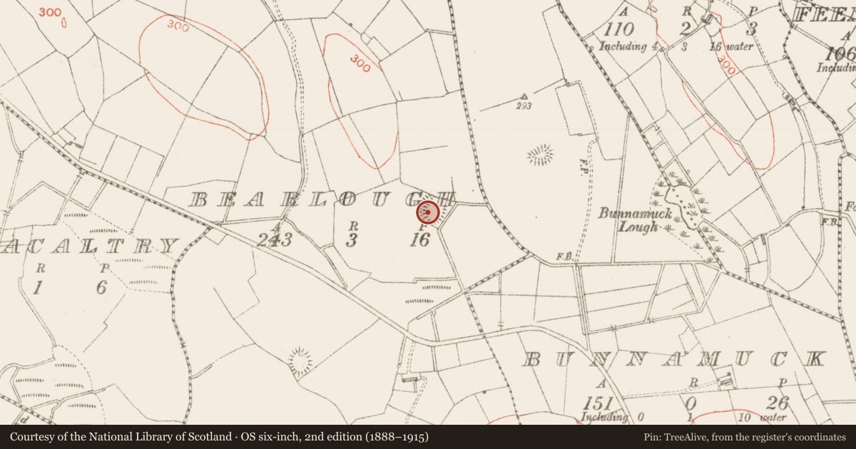 Ordnance Survey six-inch map, 2nd edition (1888–1915) covering the location of Ringfort - rath, Bearlough, County Sligo, with a pin at the register's coordinates