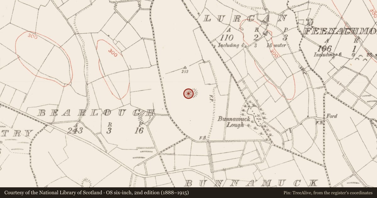 Ordnance Survey six-inch map, 2nd edition (1888–1915) covering the location of Ringfort - rath, Bunnamuck, County Sligo, with a pin at the register's coordinates
