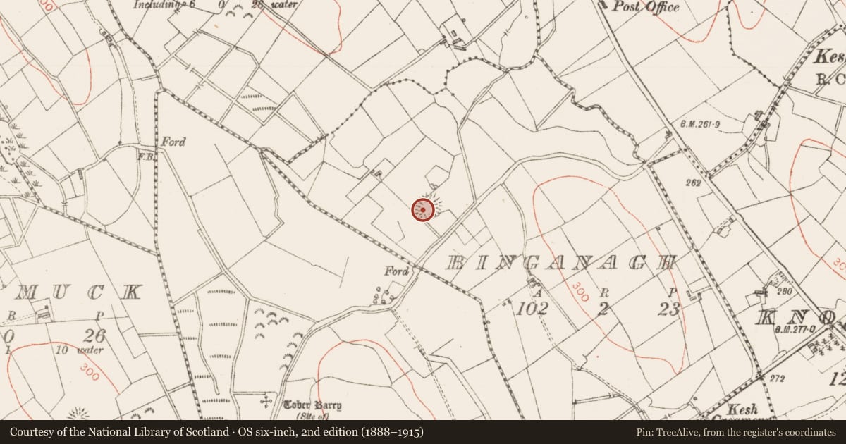 Ordnance Survey six-inch map, 2nd edition (1888–1915) covering the location of Ringfort - rath, Binganagh, County Sligo, with a pin at the register's coordinates