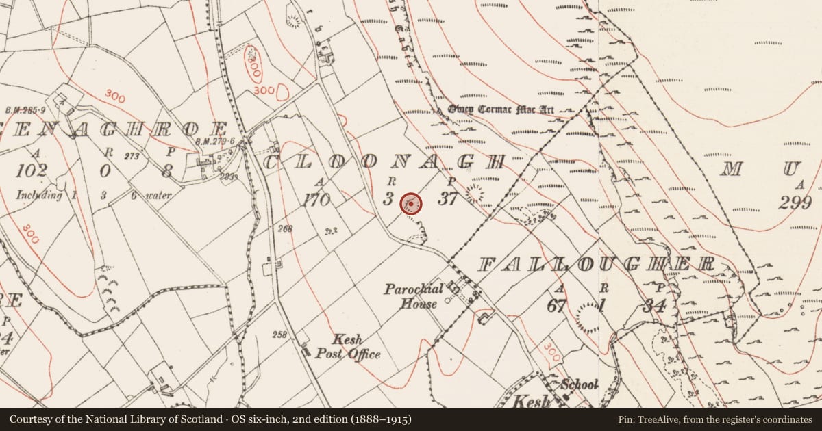 Ordnance Survey six-inch map, 2nd edition (1888–1915) covering the location of Ringfort - rath, Cloonagh, County Sligo, with a pin at the register's coordinates