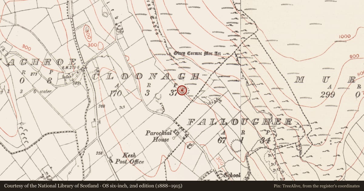 Ordnance Survey six-inch map, 2nd edition (1888–1915) covering the location of Ringfort - rath, Cloonagh, County Sligo, with a pin at the register's coordinates