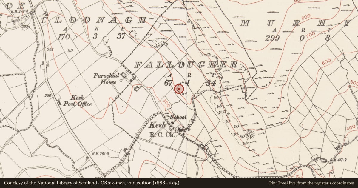 Ordnance Survey six-inch map, 2nd edition (1888–1915) covering the location of Ringfort - rath, Fallougher, County Sligo, with a pin at the register's coordinates