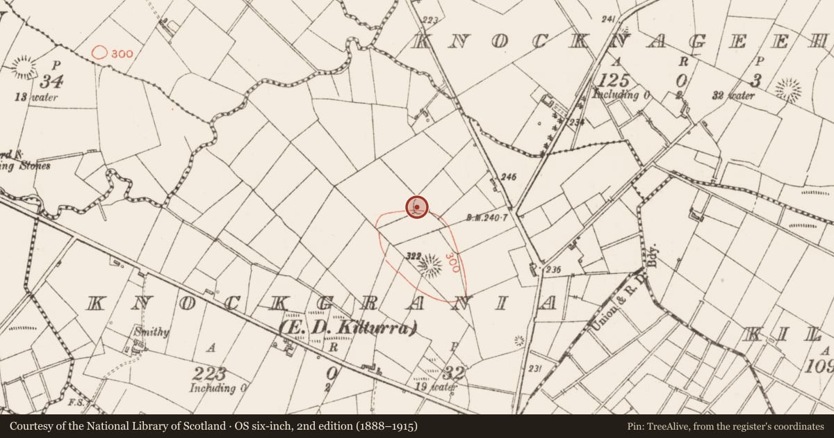 Ordnance Survey six-inch map, 2nd edition (1888–1915) covering the location of Ringfort - rath, Knockgrania, County Sligo, with a pin at the register's coordinates