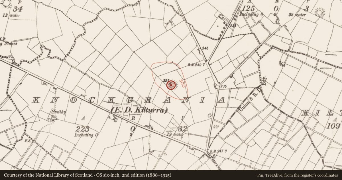 Ordnance Survey six-inch map, 2nd edition (1888–1915) covering the location of Ringfort - rath, Knockgrania, County Sligo, with a pin at the register's coordinates