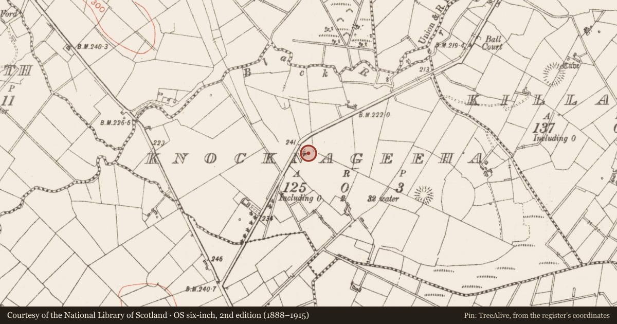 Ordnance Survey six-inch map, 2nd edition (1888–1915) covering the location of Ringfort - rath, Knocknageeha, County Sligo, with a pin at the register's coordinates