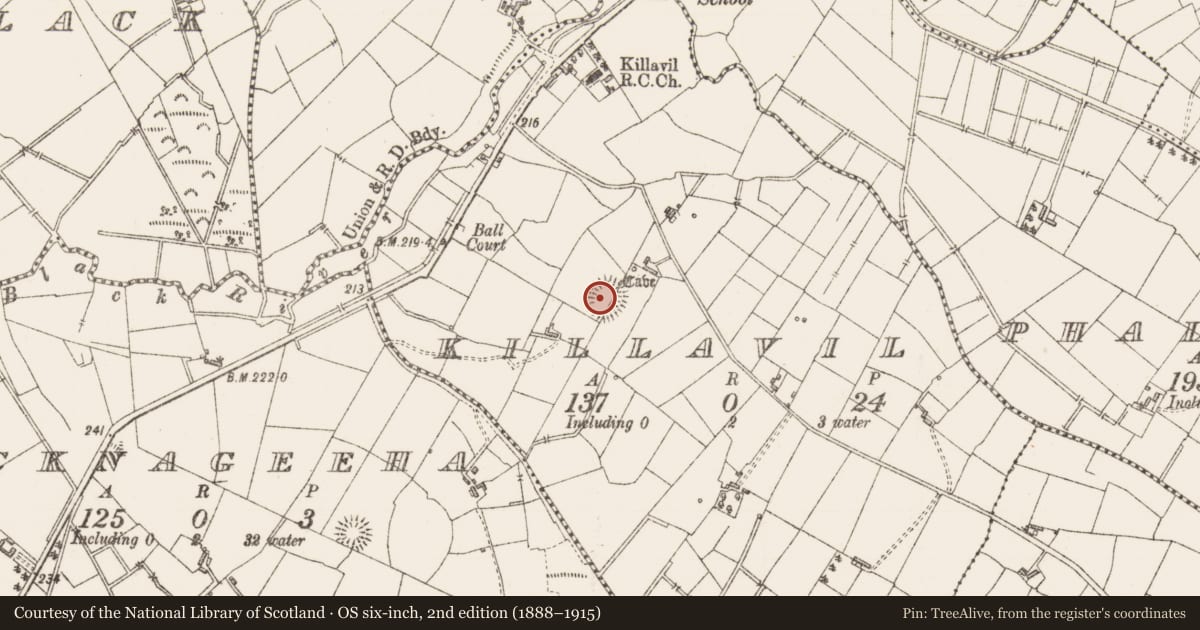 Ordnance Survey six-inch map, 2nd edition (1888–1915) covering the location of Ringfort - rath, Killavil, County Sligo, with a pin at the register's coordinates