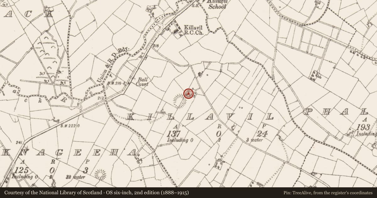 Ordnance Survey six-inch map, 2nd edition (1888–1915) covering the location of Souterrain, Killavil, County Sligo, with a pin at the register's coordinates