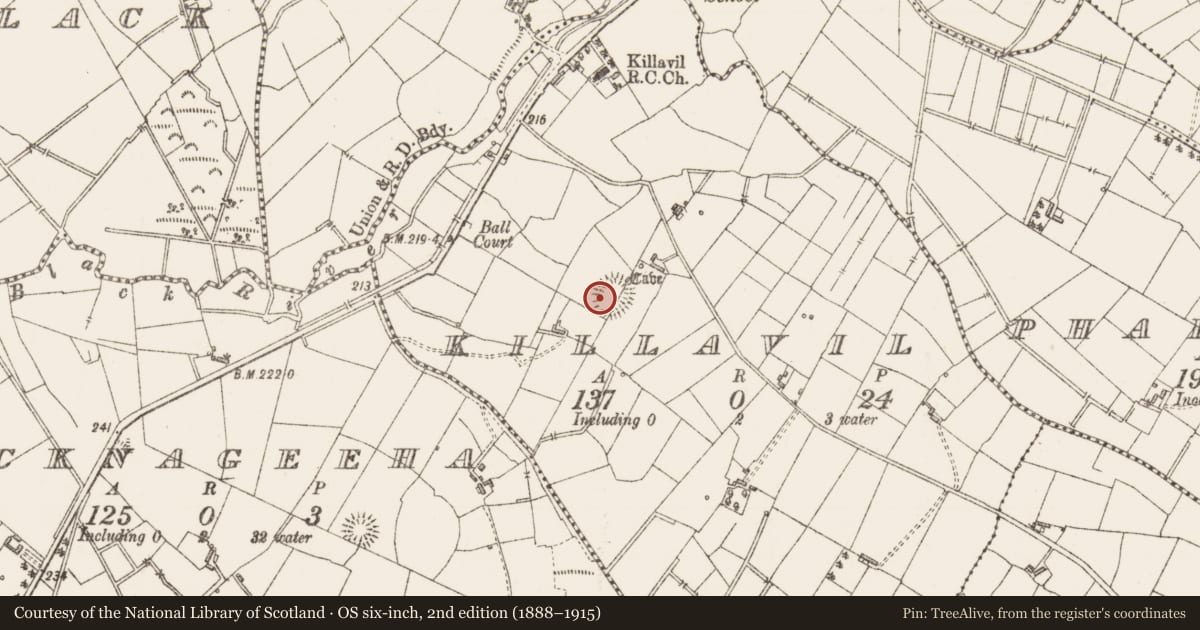 Ordnance Survey six-inch map, 2nd edition (1888–1915) covering the location of Burial ground, Killavil, County Sligo, with a pin at the register's coordinates