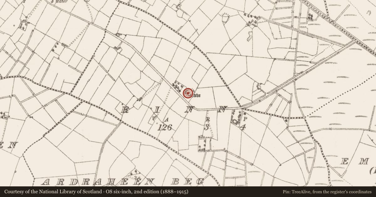 Ordnance Survey six-inch map, 2nd edition (1888–1915) covering the location of Ringfort - rath, Rinn, County Sligo, with a pin at the register's coordinates