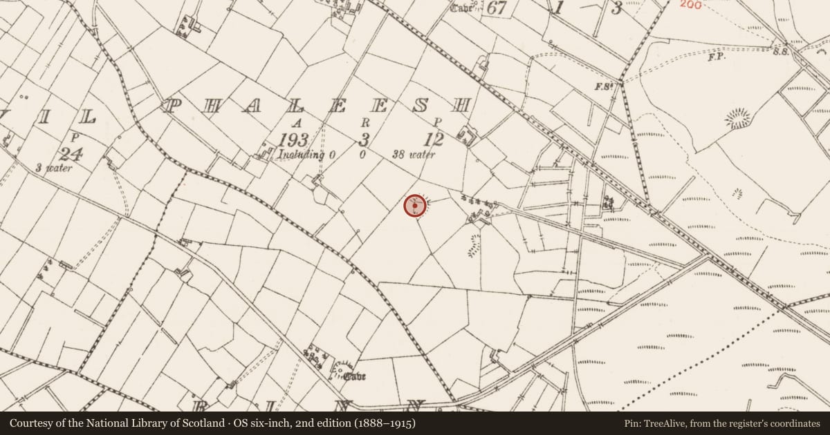 Ordnance Survey six-inch map, 2nd edition (1888–1915) covering the location of Ringfort - rath, Phaleesh, County Sligo, with a pin at the register's coordinates