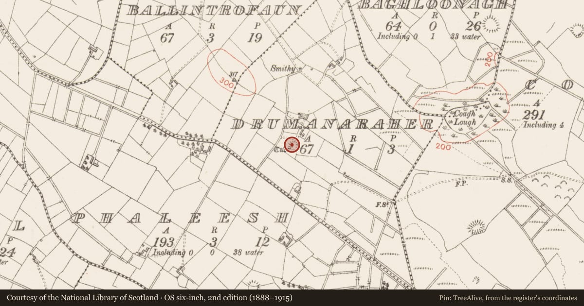 Ordnance Survey six-inch map, 2nd edition (1888–1915) covering the location of Ringfort - rath, Drumanaraher, County Sligo, with a pin at the register's coordinates