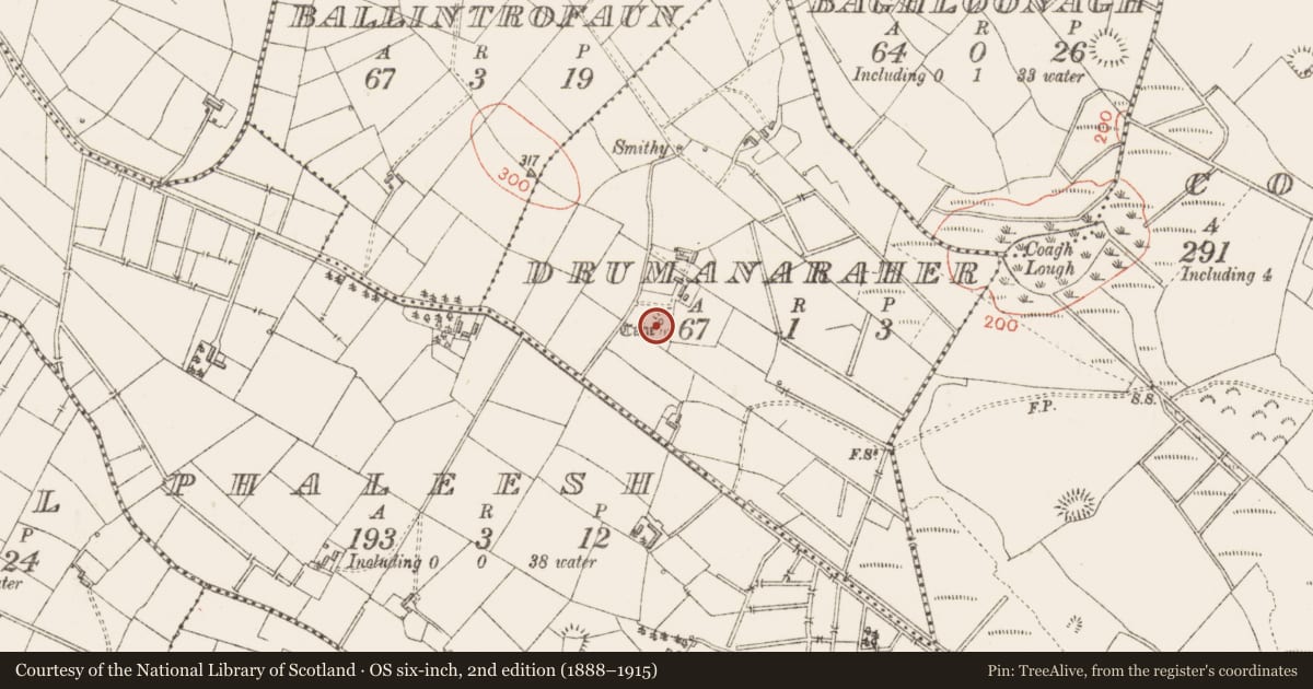 Ordnance Survey six-inch map, 2nd edition (1888–1915) covering the location of Souterrain, Drumanaraher, County Sligo, with a pin at the register's coordinates
