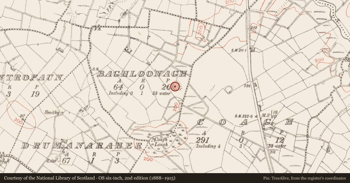 Ordnance Survey six-inch map, 2nd edition (1888–1915) covering the location of Ringfort - rath, Baghloonagh, County Sligo, with a pin at the register's coordinates