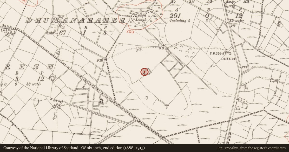 Ordnance Survey six-inch map, 2nd edition (1888–1915) covering the location of Ringfort - rath, Coagh, County Sligo, with a pin at the register's coordinates
