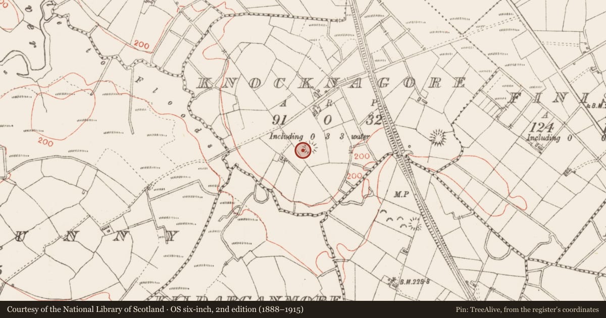 Ordnance Survey six-inch map, 2nd edition (1888–1915) covering the location of Ringfort - rath, Knocknagore, County Sligo, with a pin at the register's coordinates