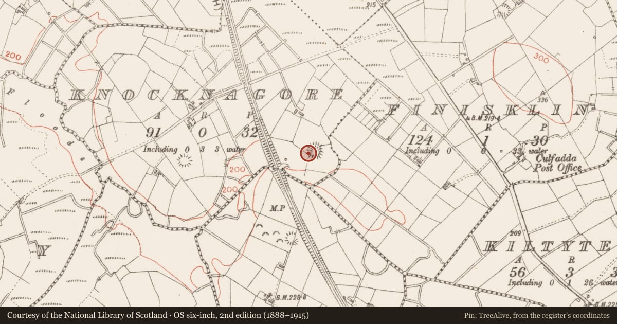 Ordnance Survey six-inch map, 2nd edition (1888–1915) covering the location of Ringfort - rath, Knocknagore, County Sligo, with a pin at the register's coordinates