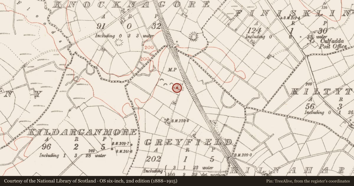 Ordnance Survey six-inch map, 2nd edition (1888–1915) covering the location of Ringfort - rath, Greyfield, County Sligo, with a pin at the register's coordinates