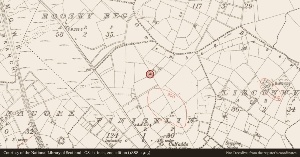 Ordnance Survey six-inch map, 2nd edition (1888–1915) covering the location of Ringfort - rath, Finisklin, County Sligo, with a pin at the register's coordinates