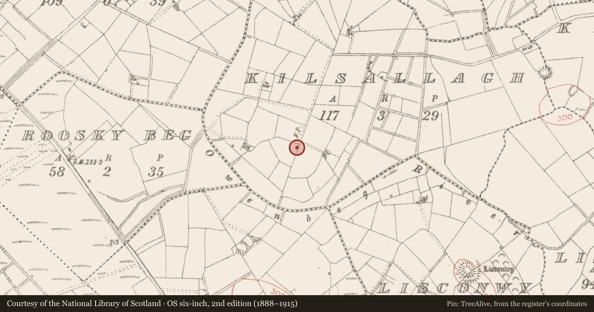 Ordnance Survey six-inch map, 2nd edition (1888–1915) covering the location of Ringfort - rath, Kilsallagh, County Sligo, with a pin at the register's coordinates