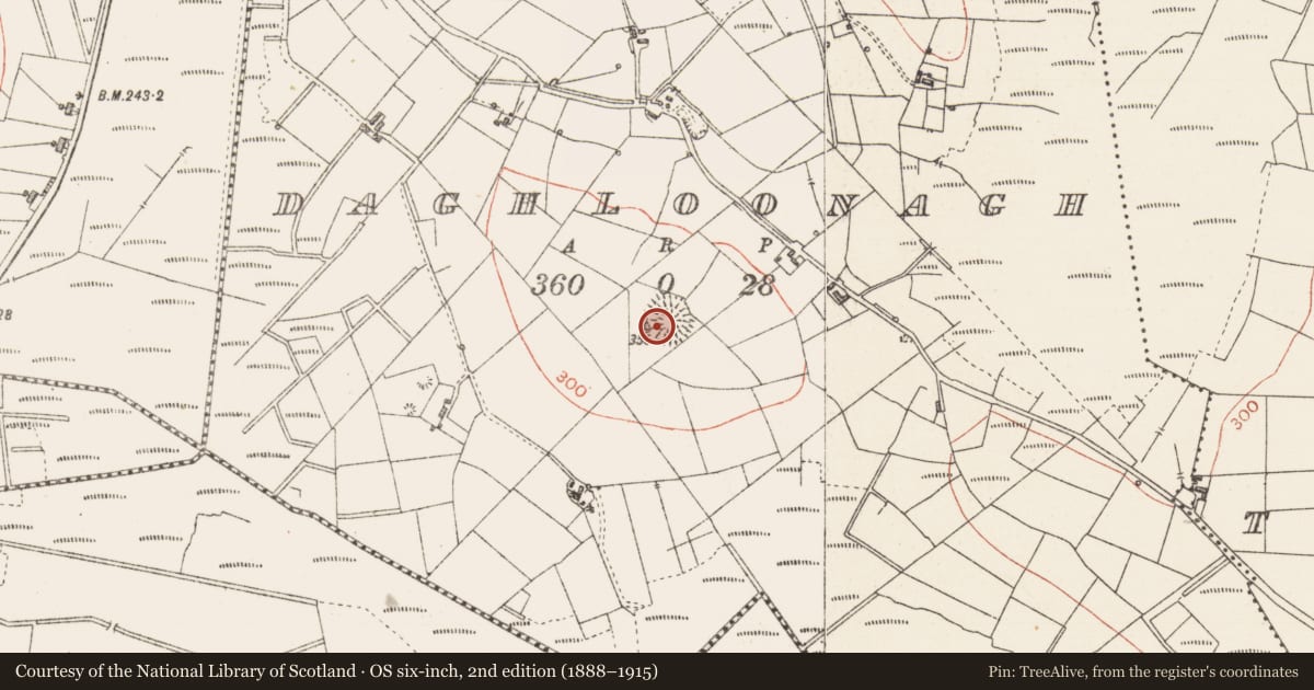 Ordnance Survey six-inch map, 2nd edition (1888–1915) covering the location of Ringfort - rath, Daghloonagh, County Sligo, with a pin at the register's coordinates