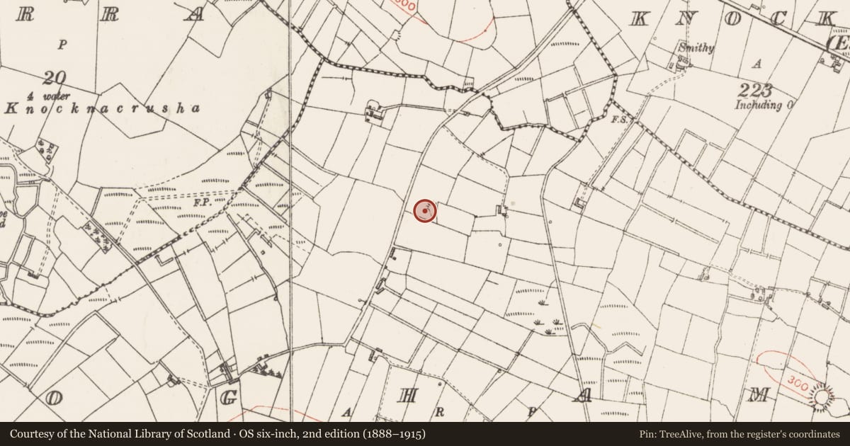 Ordnance Survey six-inch map, 2nd edition (1888–1915) covering the location of Ringfort - rath, Ogham, County Sligo, with a pin at the register's coordinates