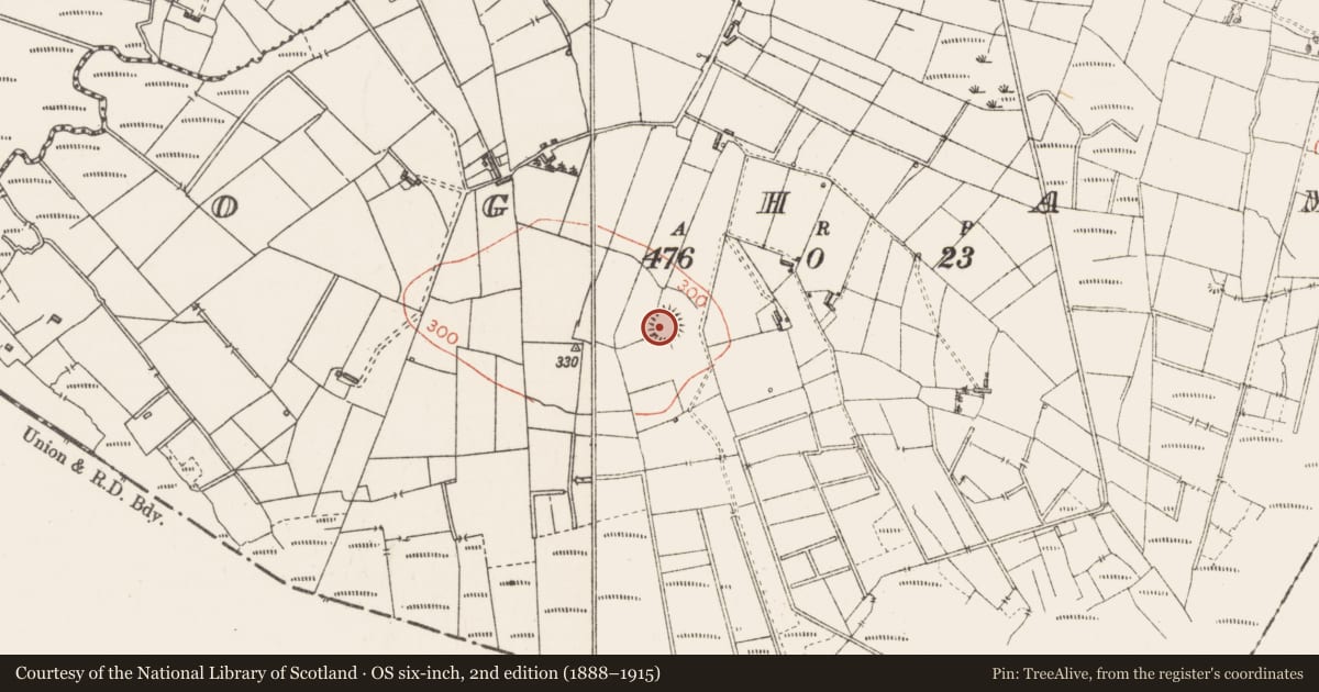 Ordnance Survey six-inch map, 2nd edition (1888–1915) covering the location of Ringfort - rath, Ogham, County Sligo, with a pin at the register's coordinates