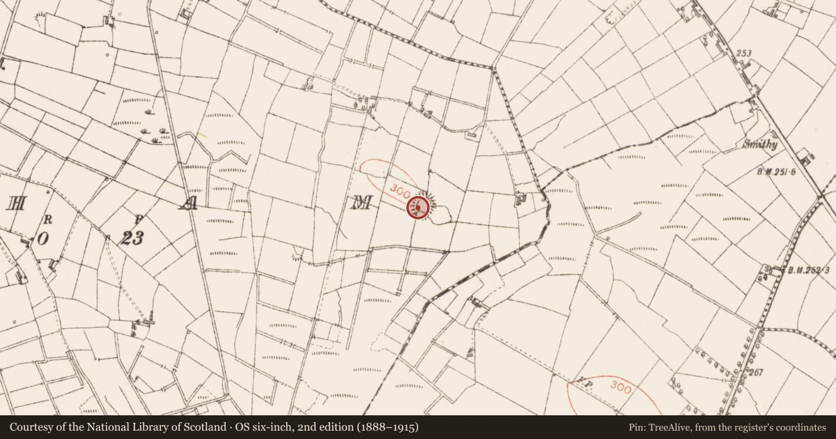 Ordnance Survey six-inch map, 2nd edition (1888–1915) covering the location of Enclosure, Ogham, County Sligo, with a pin at the register's coordinates