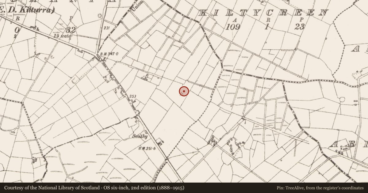 Ordnance Survey six-inch map, 2nd edition (1888–1915) covering the location of Fulacht fia, Mountirvine, County Sligo, with a pin at the register's coordinates