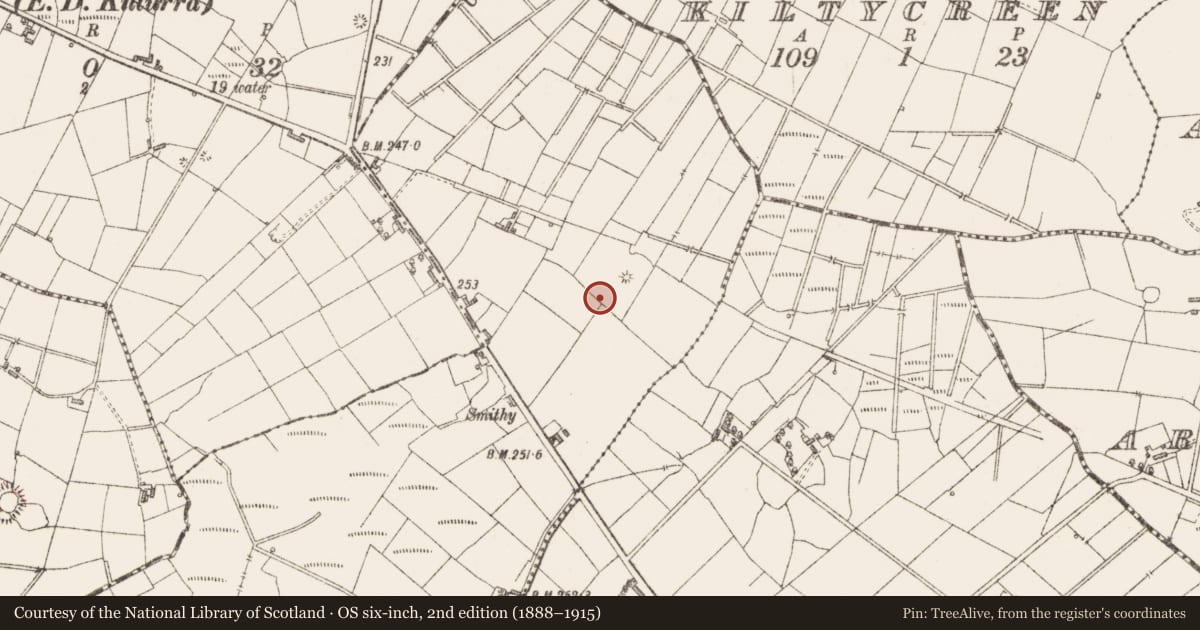 Ordnance Survey six-inch map, 2nd edition (1888–1915) covering the location of Fulacht fia, Mountirvine, County Sligo, with a pin at the register's coordinates