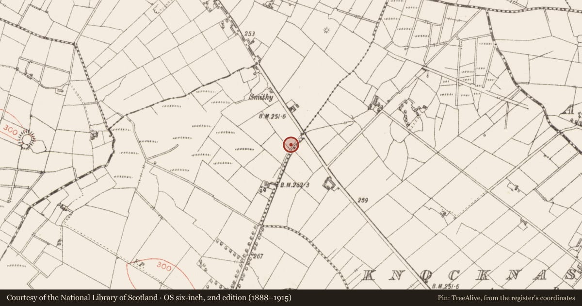 Ordnance Survey six-inch map, 2nd edition (1888–1915) covering the location of Standing stone, Mountirvine, County Sligo, with a pin at the register's coordinates