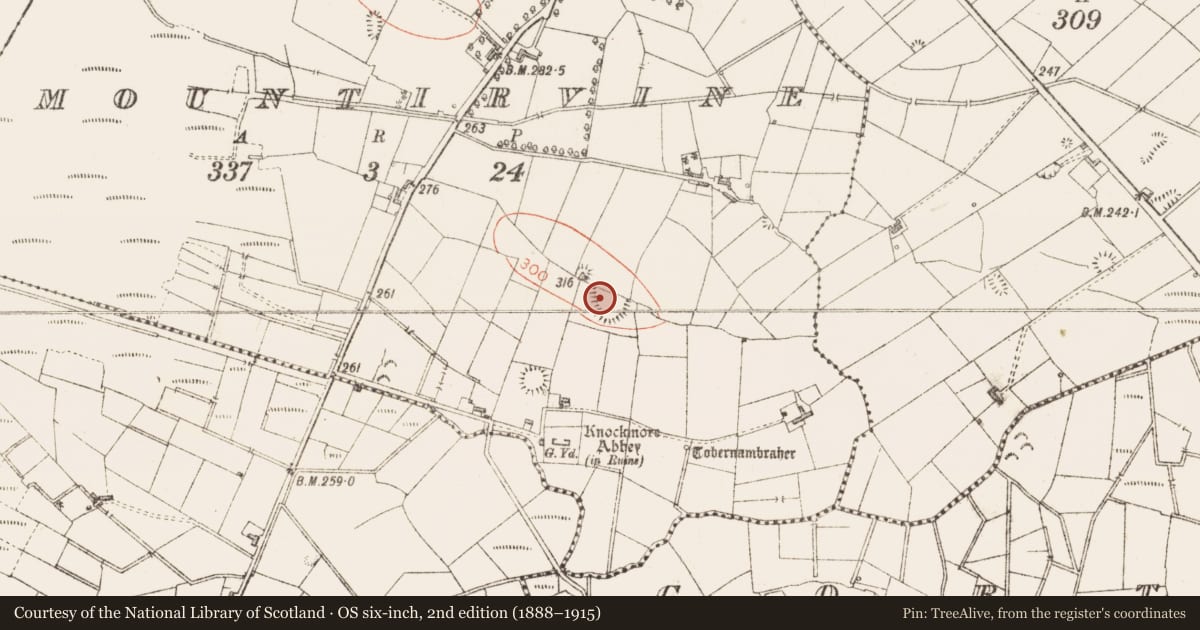 Ordnance Survey six-inch map, 2nd edition (1888–1915) covering the location of Ringfort - rath, Mountirvine, County Sligo, with a pin at the register's coordinates