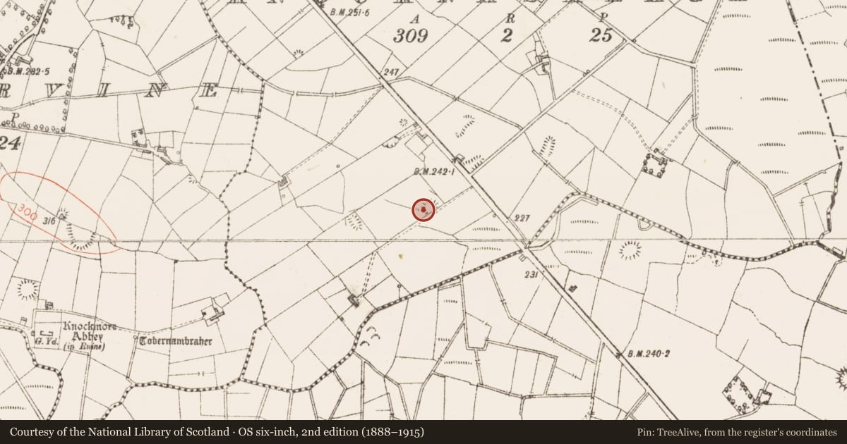 Ordnance Survey six-inch map, 2nd edition (1888–1915) covering the location of Ringfort - rath, Knocknaskeagh, County Sligo, with a pin at the register's coordinates