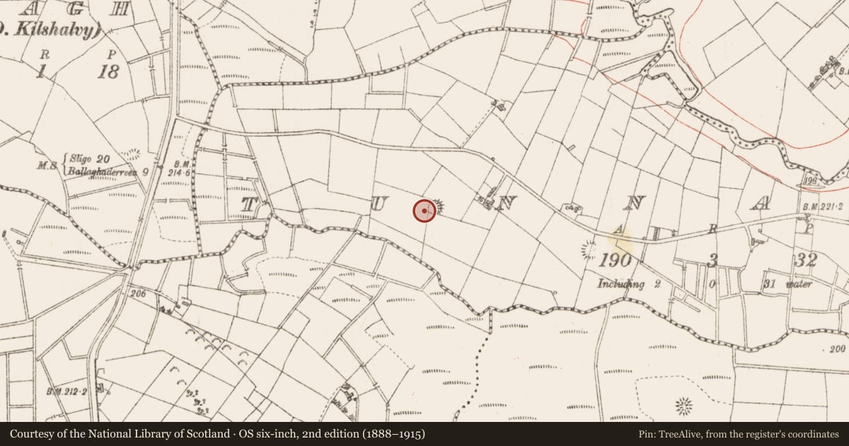 Ordnance Survey six-inch map, 2nd edition (1888–1915) covering the location of Ringfort - rath, Tunnagh, County Sligo, with a pin at the register's coordinates