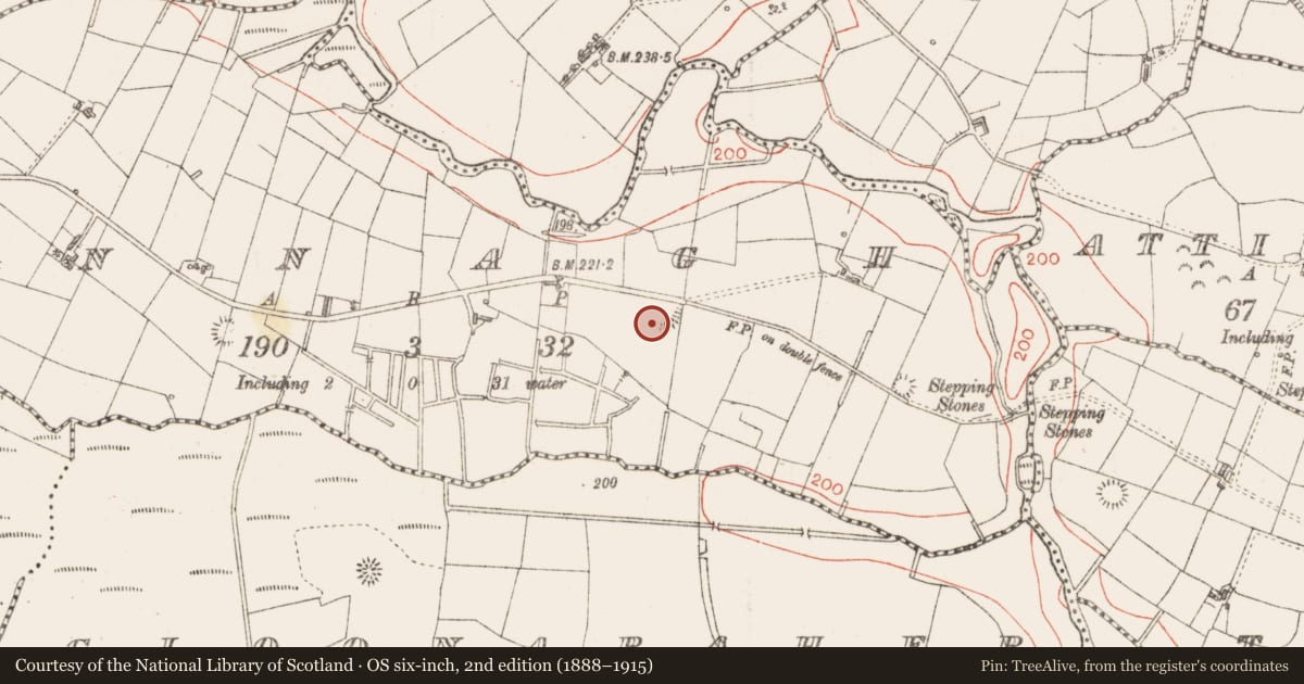Ordnance Survey six-inch map, 2nd edition (1888–1915) covering the location of Ringfort - rath, Tunnagh, County Sligo, with a pin at the register's coordinates