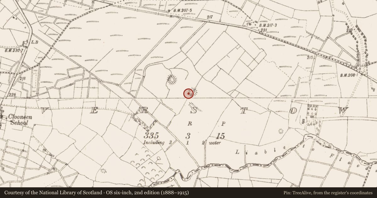 Ordnance Survey six-inch map, 2nd edition (1888–1915) covering the location of Ringfort - rath, Riverstown, County Sligo, with a pin at the register's coordinates