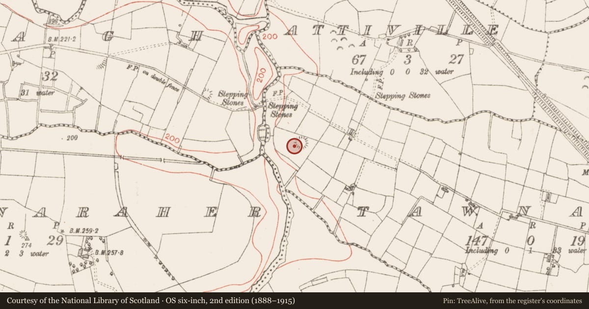 Ordnance Survey six-inch map, 2nd edition (1888–1915) covering the location of Ringfort - rath, Tawnagh, County Sligo, with a pin at the register's coordinates