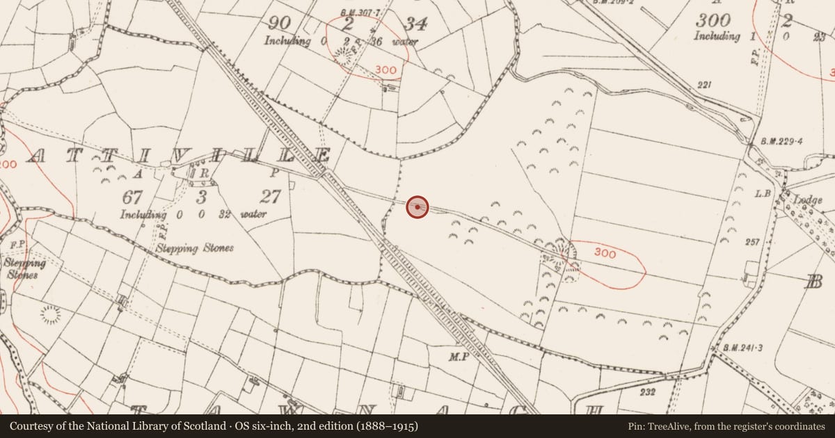 Ordnance Survey six-inch map, 2nd edition (1888–1915) covering the location of Ringfort - rath, Cloonshanbally, County Sligo, with a pin at the register's coordinates