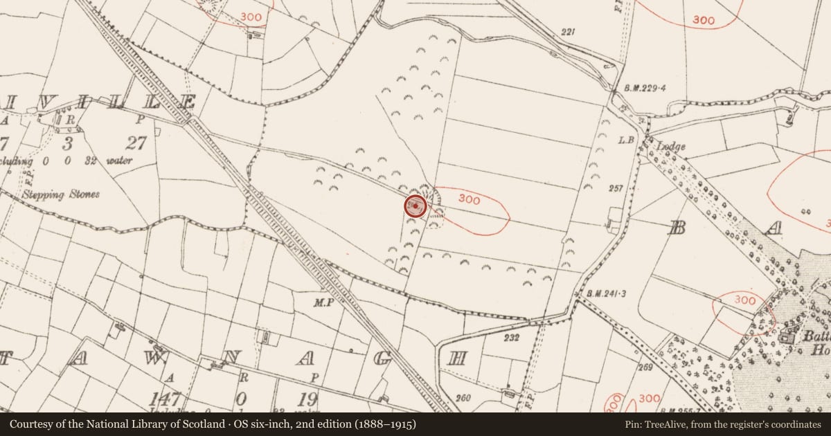 Ordnance Survey six-inch map, 2nd edition (1888–1915) covering the location of Ringfort - rath, Cloonshanbally, County Sligo, with a pin at the register's coordinates