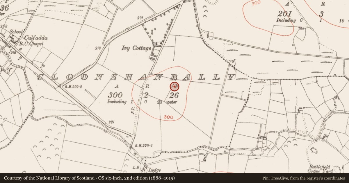 Ordnance Survey six-inch map, 2nd edition (1888–1915) covering the location of Enclosure, Cloonshanbally, County Sligo, with a pin at the register's coordinates