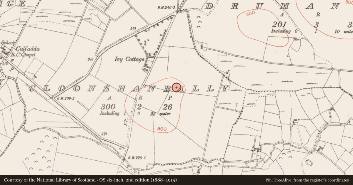 Ordnance Survey six-inch map, 2nd edition (1888–1915) covering the location of Ringfort - rath, Cloonshanbally, County Sligo, with a pin at the register's coordinates