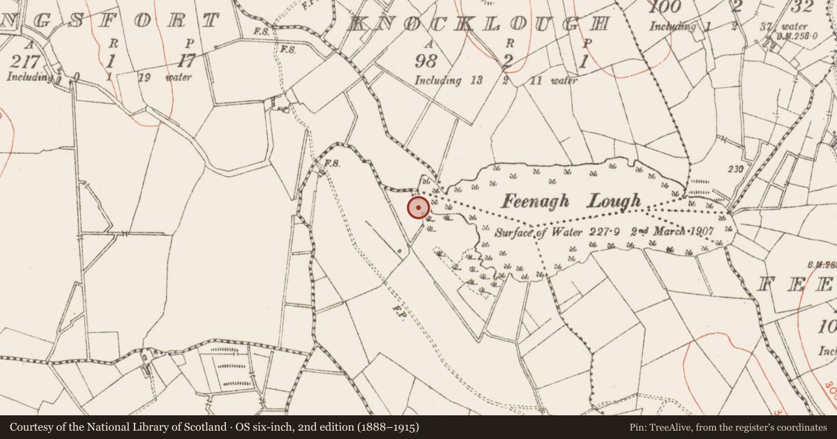 Ordnance Survey six-inch map, 2nd edition (1888–1915) covering the location of Crannog, Lurgan, County Sligo, with a pin at the register's coordinates