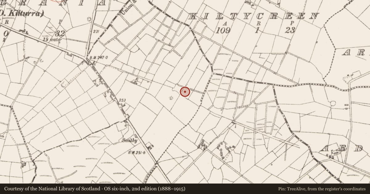 Ordnance Survey six-inch map, 2nd edition (1888–1915) covering the location of Moated site, Mountirvine, County Sligo, with a pin at the register's coordinates