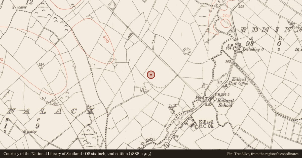 Ordnance Survey six-inch map, 2nd edition (1888–1915) covering the location of Souterrain, Ballyfahy, County Sligo, with a pin at the register's coordinates