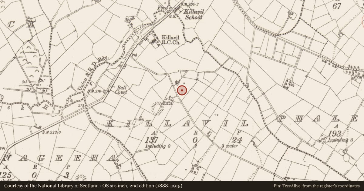 Ordnance Survey six-inch map, 2nd edition (1888–1915) covering the location of Mass-rock, Killavil, County Sligo, with a pin at the register's coordinates
