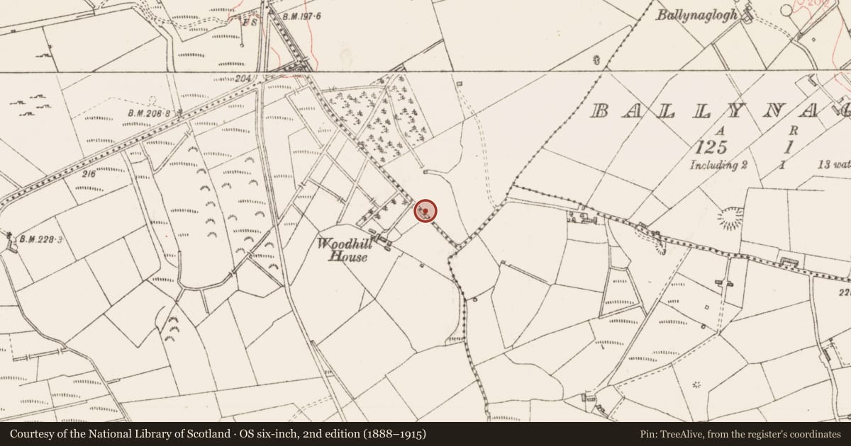 Ordnance Survey six-inch map, 2nd edition (1888–1915) covering the location of Fulacht fia, Shancarrigeen Or Oldrock, County Sligo, with a pin at the register's coordinates