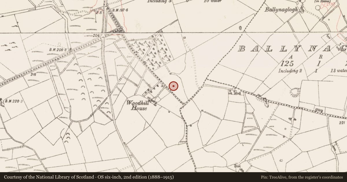 Ordnance Survey six-inch map, 2nd edition (1888–1915) covering the location of Fulacht fia, Shancarrigeen Or Oldrock, County Sligo, with a pin at the register's coordinates