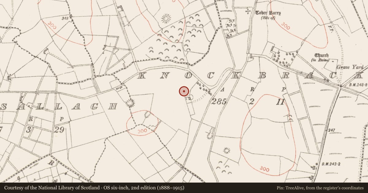 Ordnance Survey six-inch map, 2nd edition (1888–1915) covering the location of Fulacht fia, Knockbrack, County Sligo, with a pin at the register's coordinates