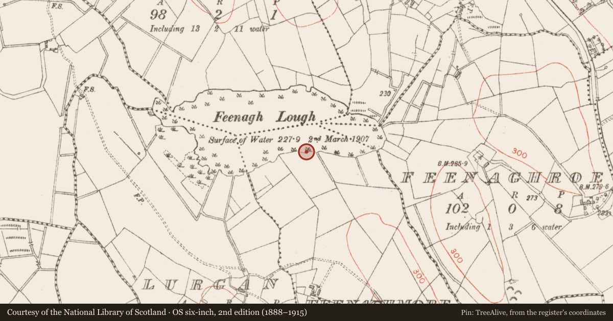 Ordnance Survey six-inch map, 2nd edition (1888–1915) covering the location of Fulacht fia, Feenaghmore, County Sligo, with a pin at the register's coordinates