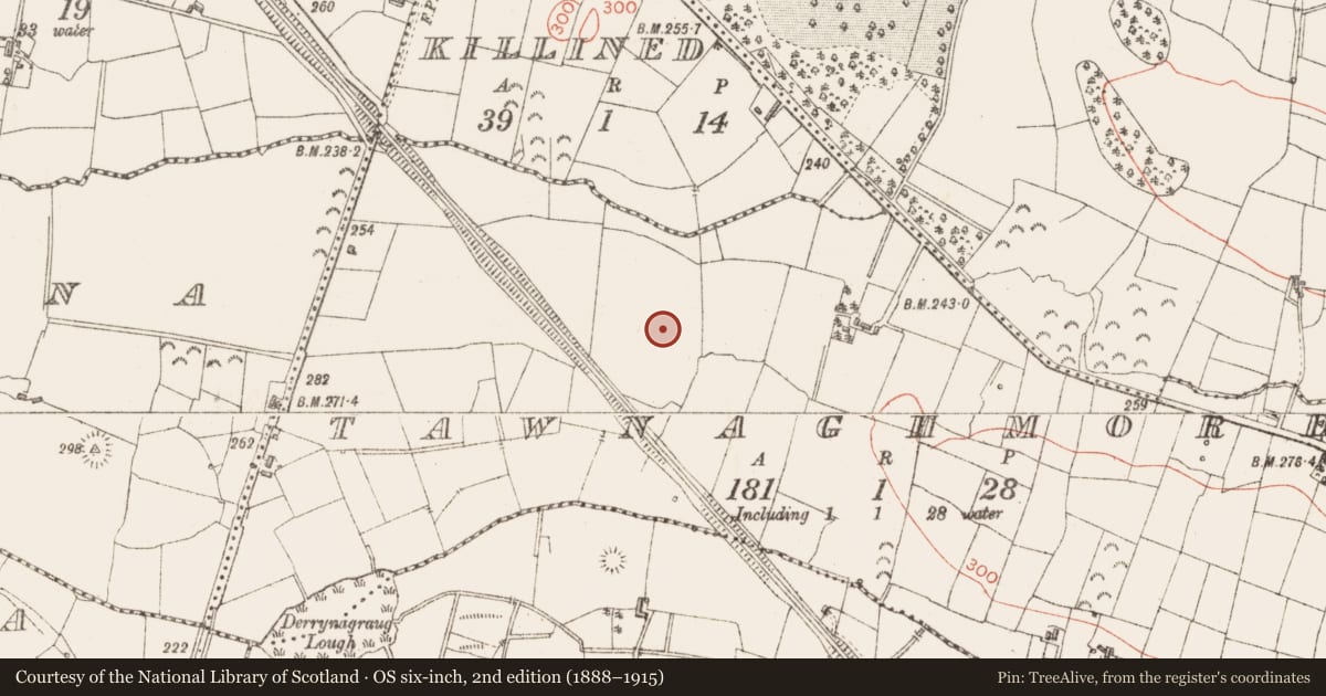 Ordnance Survey six-inch map, 2nd edition (1888–1915) covering the location of Enclosure, Tawnaghmore, County Sligo, with a pin at the register's coordinates